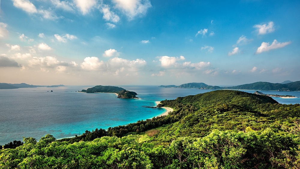 ジャングリア沖縄のある沖縄本島