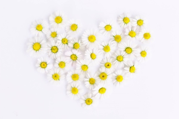 ハートの花
