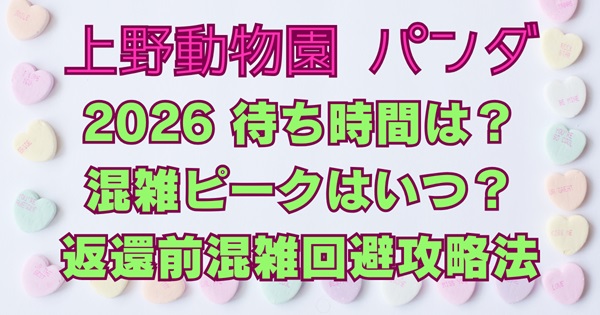 上野動物園パンダの待ち時間2026｜混雑ピークはいつ？返還前ラストチャンス攻略！